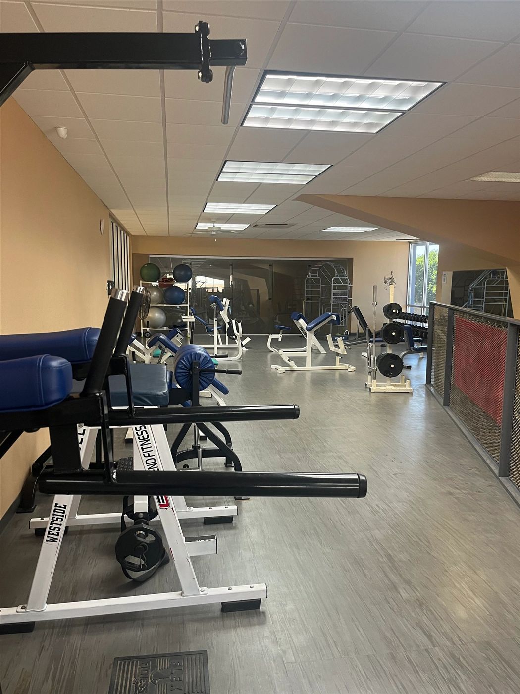 Weight room outfitted by Bodies Elite - Blythe Family Fitness