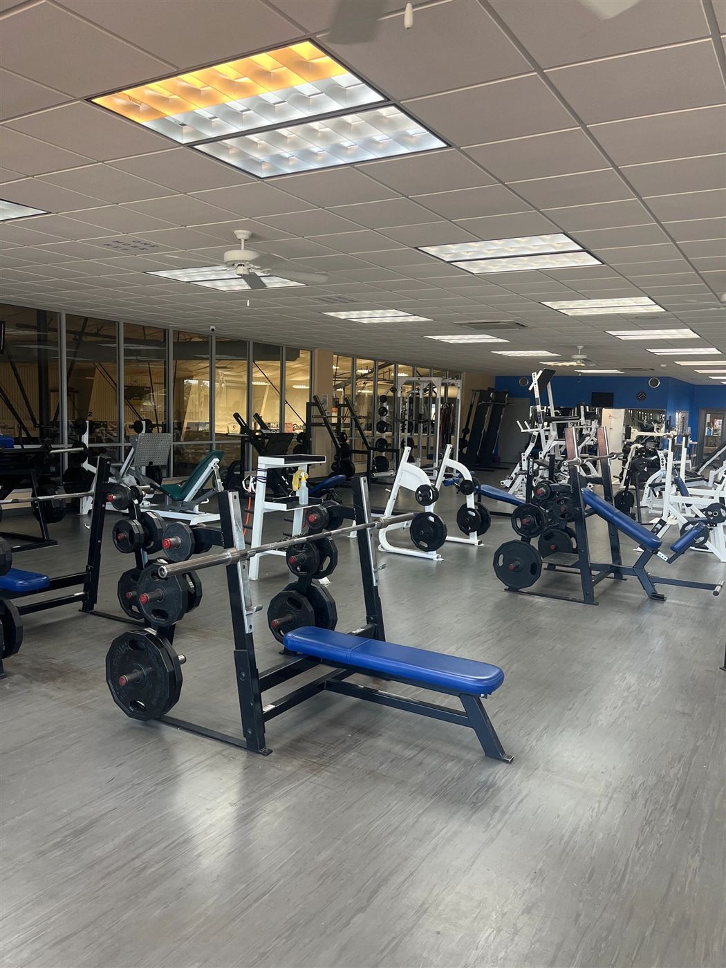 Weight room outfitted by Bodies Elite - Blythe Family Fitness
